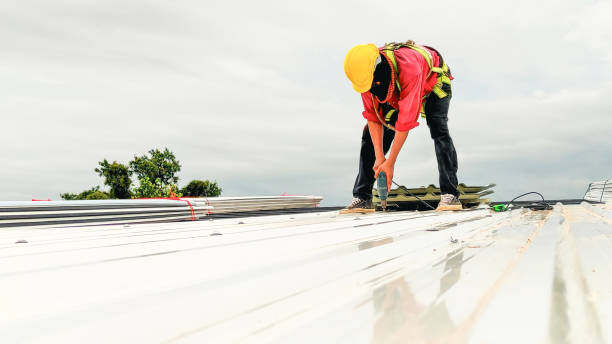 Best Commercial Roofing Services  in Edwardsburg, MI