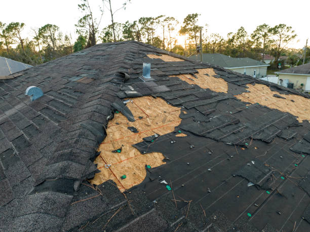 Best Gutter Installation and Repair  in Edwardsburg, MI