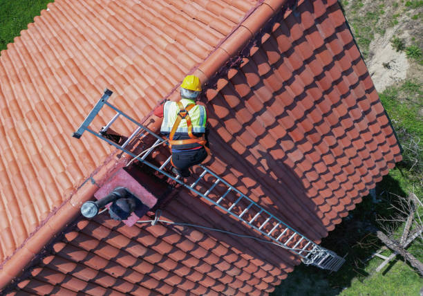 Best Solar Panel Roofing Installation  in Edwardsburg, MI