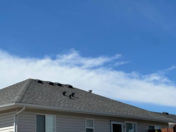 Best Gutter Replacement  in Edwardsburg, MI