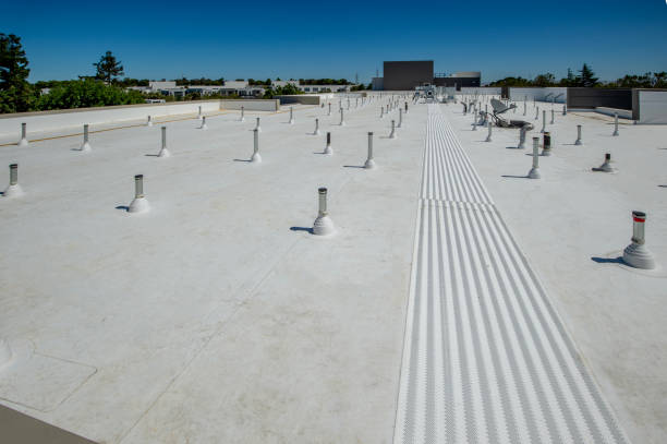 Best Roof Moss and Algae Removal  in Edwardsburg, MI